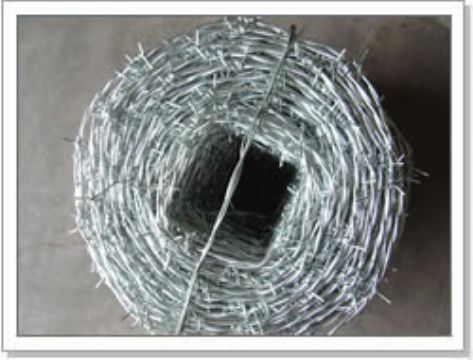 Barbed Iron Wire